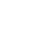 Software Services