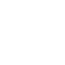 Software Services